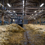 Chargeuse multifonction MCL2 - Mecalac 23 Maroc Afrique - VEMAT GROUP Senegal Mauritanie Nigeria Tchad Tunisie