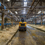 Chargeuse multifonction MCL2 - Mecalac 25 Maroc Afrique - VEMAT GROUP Senegal Mauritanie Nigeria Tchad Tunisie